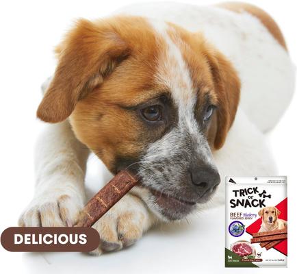 Show full view: Trick or Snack Beef & Blueberry Flavored Jerky Dog Treats, 1-lb bag slide 5 of 10