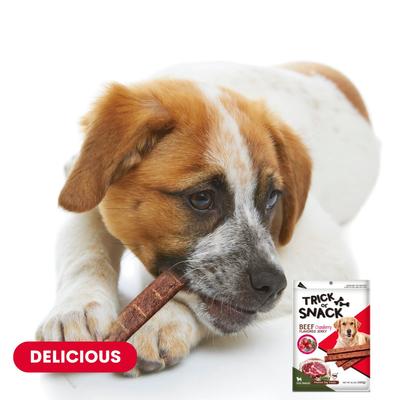 Show full view: Trick or Snack Beef & Cranberry Flavored Jerky Dog Treats, 1-lb bag slide 5 of 10
