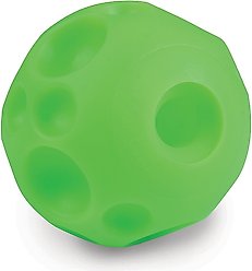Tricky Treat Giggle Ball Squeaky Dog Toy, Green, Large