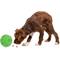 Show in main carousel: Tricky Treat Giggle Ball Squeaky Dog Toy, Green, Large slide 5 of 6