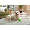 Show in main carousel: Tricky Treat Giggle Ball Squeaky Dog Toy, Green, Large slide 4 of 6