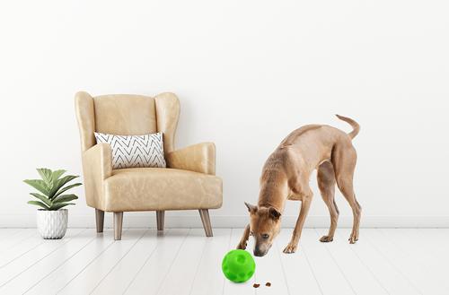 Show full view: Tricky Treat Giggle Ball Squeaky Dog Toy, Green, Large slide 3 of 6