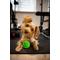 Show in main carousel: Tricky Treat Giggle Ball Squeaky Dog Toy, Green, Medium slide 3 of 4