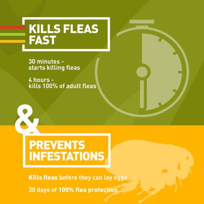 Show full view: Trifexis Chewable Tablet for Dogs, 10.1-20 lbs, (Orange Box), 12 Chewable Tablets (12-mos. supply) slide 8 of 11