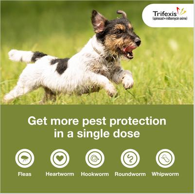 Trifexis Chewable Tablet for Dogs, 10.1-20 lbs, (Orange Box)