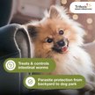 Show in main carousel: Trifexis Chewable Tablet for Dogs, 10.1-20 lbs, (Orange Box), 6 Chewable Tablets (6-mos. supply) slide 3 of 10