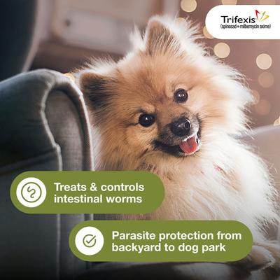 Trifexis Chewable Tablet for Dogs, 10.1-20 lbs, (Orange Box)