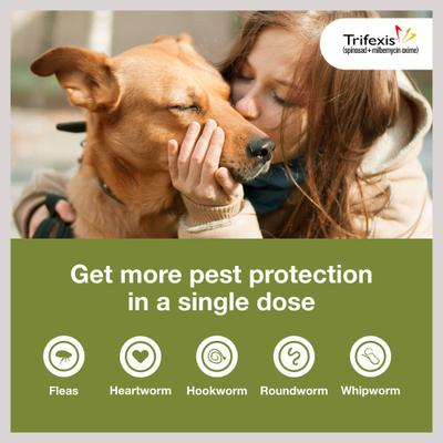 Show full view: Trifexis Chewable Tablet for Dogs, 20.1-40 lbs, (Green Box), 6 Chewable Tablets (6-mos. supply) slide 2 of 10