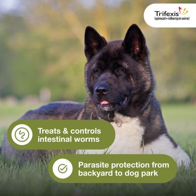 Show full view: Trifexis Chewable Tablet for Dogs, 20.1-40 lbs, (Green Box), 6 Chewable Tablets (6-mos. supply) slide 3 of 10