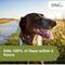 Show in main carousel: Trifexis Chewable Tablet for Dogs, 20.1-40 lbs, (Green Box), 6 Chewable Tablets (6-mos. supply) slide 5 of 10