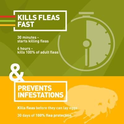 Show full view: Trifexis Chewable Tablet for Dogs, 20.1-40 lbs, (Green Box), 6 Chewable Tablets (6-mos. supply) slide 7 of 10