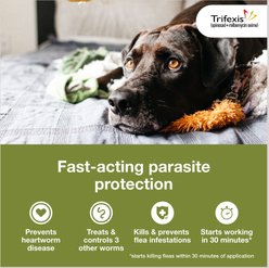 Trifexis Chewable Tablet for Dogs, 40.1-60 lbs, (Blue Box), 6 Chewable Tablets (6-mos. supply) slide 2 of 9