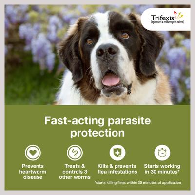 Show full view: Trifexis Chewable Tablet for Dogs, 60.1-120 lbs, (Brown Box), 6 Chewable Tablets (6-mos. supply) slide 2 of 11