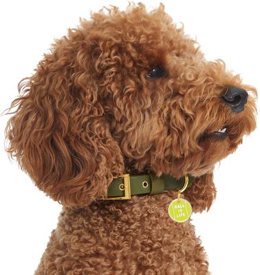 Show full view: Trill Paws Ball is Life Personalized Dog & Cat ID Tag slide 2 of 6