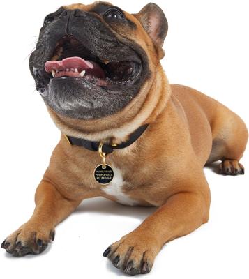 Show full view: Trill Paws Call My People Personalized Dog & Cat ID Tag slide 2 of 7