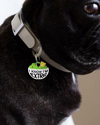 Show full view: Trill Paws Extra Personalized Dog & Cat ID Tag slide 5 of 7