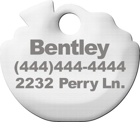 Show full view: Trill Paws Extra Personalized Dog & Cat ID Tag slide 3 of 7