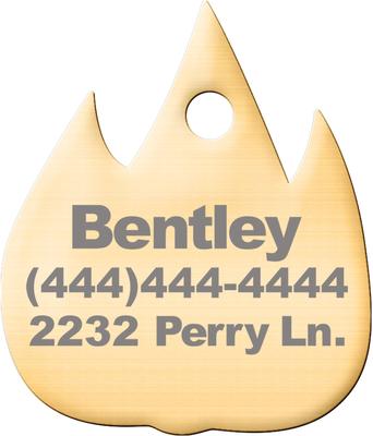Show full view: Trill Paws Flame Personalized Dog & Cat ID Tag slide 2 of 4