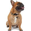Show in main carousel: Trill Paws LoverBoy Personalized Circle Cat & Dog ID Tag slide 2 of 4