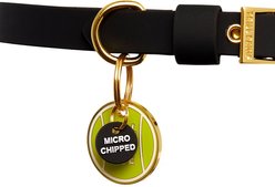 Trill Paws Microchipped Mini Charm Dog & Cat Collar, Black slide 2 of 4