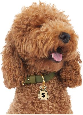 Show full view: Trill Paws Money Bag Personalized Dog & Cat ID Tag slide 3 of 6