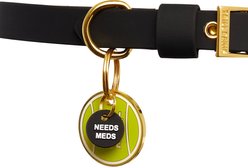 Trill Paws Needs Meds Mini Charm Dog & Cat Collar, Black slide 2 of 4