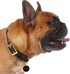 Trill Paws Not All Who Wander Personalized Dog & Cat ID Tag slide 2 of 5