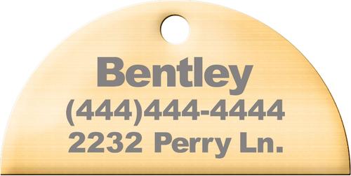 Show full view: Trill Paws Rainbow Personalized Cat & Dog ID Tag slide 3 of 4