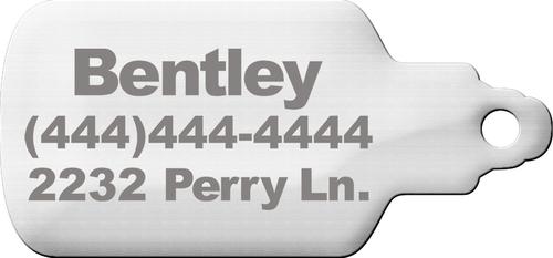 Show full view: Trill Paws Spicy AF Personalized Dog & Cat ID Tag slide 5 of 7