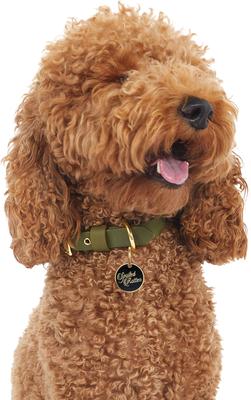 Show full view: Trill Paws Spoiled Rotten Personalized Dog & Cat ID Tag slide 4 of 5