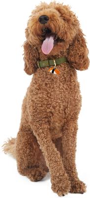 Show full view: Trill Paws Sushi Personalized Dog & Cat ID Tag slide 3 of 6