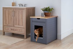 TRINITY 20-in Enclosure End Table with Drawer Cat Litter Box, Small, Gray