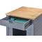 Show in main carousel: TRINITY 20-in Enclosure End Table with Drawer Cat Litter Box, Small, Gray slide 7 of 10
