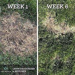 TriNova Lawn Deodorizer & Restorer Spray, 32-fl oz bottle slide 2 of 4