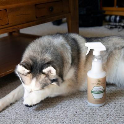 Show full view: TriNova Pet Stain & Odor Remover, 32-fl oz spray bottle slide 5 of 9