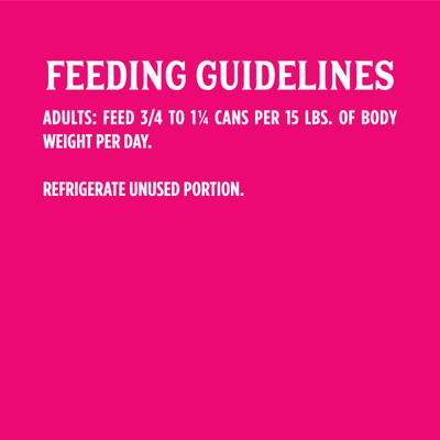 Show full view: Triumph Chicken, Rice 'N Vegetable Formula Canned Dog Food, 13.2-oz, case of 12 slide 9 of 11