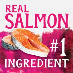 Triumph Free Spirit Grain-Free Deboned Salmon & Sweet Potato Recipe Dry Dog Food, 26-lb bag slide 2 of 9
