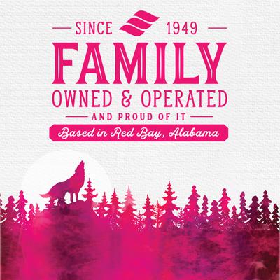 Show full view: Triumph Free Spirit Grain-Free Deboned Salmon & Sweet Potato Recipe Dry Dog Food, 26-lb bag slide 6 of 11