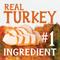 Show in main carousel: Triumph Free Spirit Grain-Free Deboned Turkey & Sweet Potato Recipe Dry Dog Food, 26-lb bag slide 4 of 11