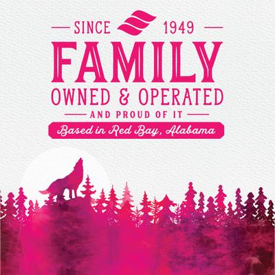 Show full view: Triumph Free Spirit Jerky Bites Deboned Salmon & Vegetable Dog Treats, 20-oz bag slide 5 of 11