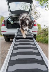 TRIXIE 69-in Heavy Duty Telescoping Dog Ramp, Silver/Black slide 2 of 9