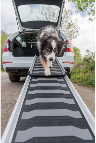 TRIXIE 69-in Heavy Duty Telescoping Dog Ramp, Silver/Black