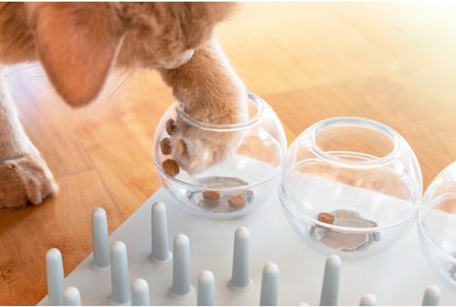 Show full view: TRIXIE Activity Fun Board 5-in-1 Activity Strategy Game Cat Toy slide 6 of 12