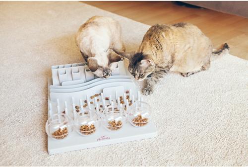 Show full view: TRIXIE Activity Fun Board 5-in-1 Activity Strategy Game Cat Toy slide 3 of 12