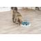 Show in main carousel: TRIXIE Activity Strategy Game Tunnel Non-Skid Plastic Slow Feeder Cat Toy, 0.5-cup slide 3 of 10