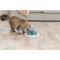 Show in main carousel: TRIXIE Activity Strategy Game Tunnel Non-Skid Plastic Slow Feeder Cat Toy, 0.5-cup slide 2 of 10