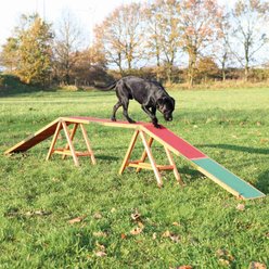 TRIXIE Agility Dog Training Dogwalk slide 2 of 8
