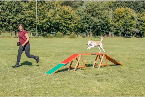 Show full view: TRIXIE Agility Dog Training Dogwalk slide 3 of 9