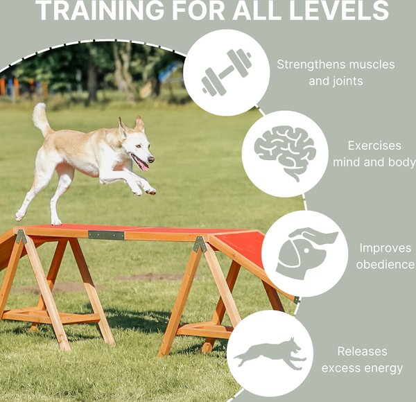 TRIXIE Agility Dog Training Dogwalk