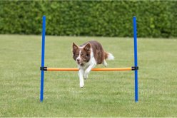 TRIXIE Agility Dog Training Hurdle slide 2 of 7